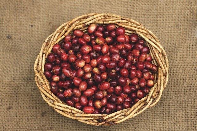 PROCESSING COFFEE BEANS
