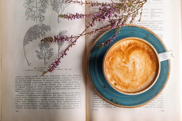 Best Coffee Books to Learn More About It