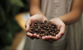 What Characterizes Specialty Coffee?