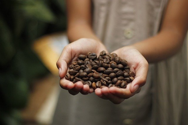 What Characterizes Specialty Coffee?