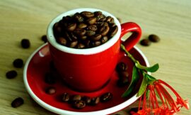 Is it harmful to eat a coffee bean?