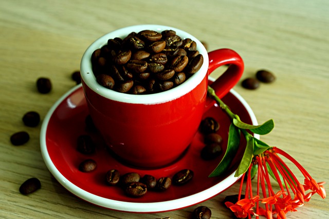 Read more about the article Is it harmful to eat a coffee bean?